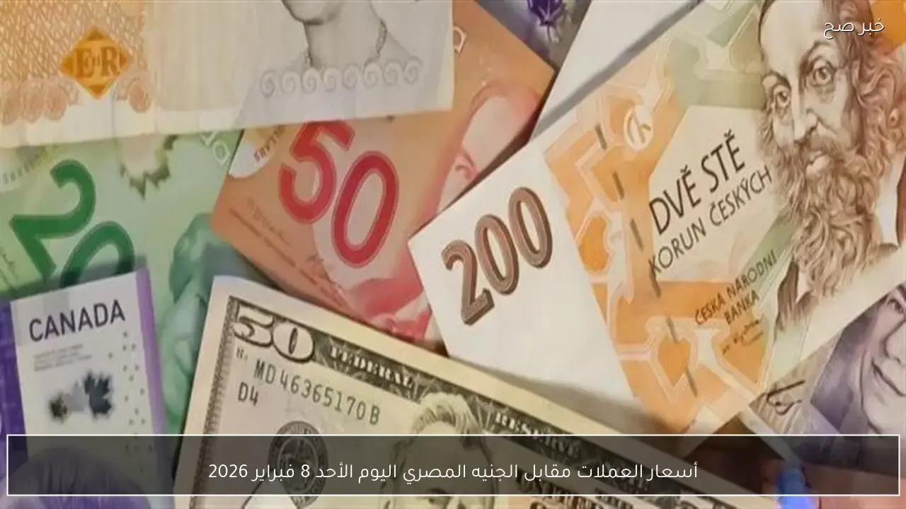 تحركات مفاجئة.. أسعار صرف العملات الأجنبية مقابل الجنيه المصري في تعاملات الأحد